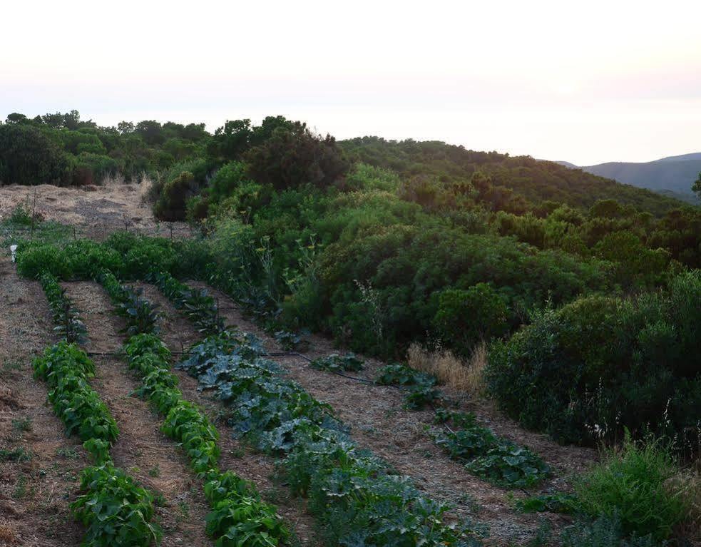 Agriturismo Costa Verde Арбус Екстериор снимка